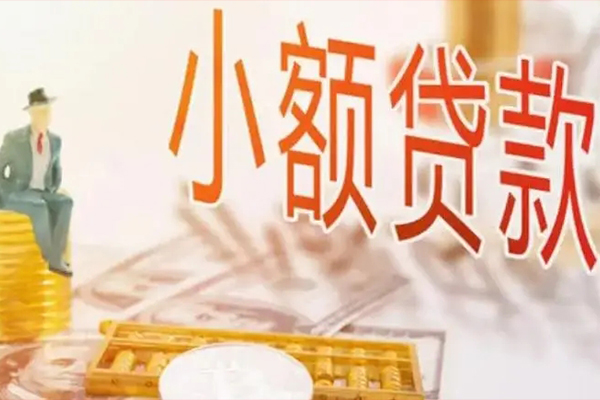 成都09私人身份证借私借-成都09个人上门小额贷款-成都09短借公证